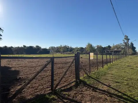 Mendoza 600