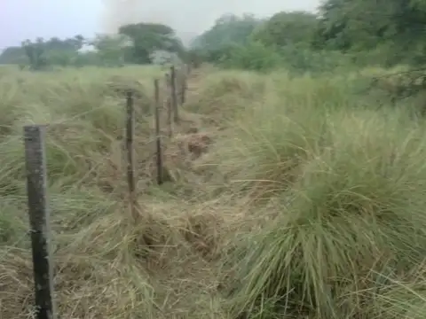 Campo en venta Aguará Grande
