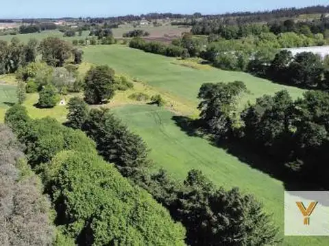 Campo en venta - 75 Hectáreas - Chapadamalal
