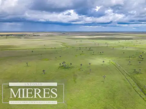 Campo en Rocha ganadero agrícola 125ha