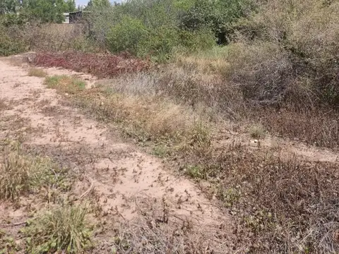 Terreno en Venta en Chacras de Coria, USD 179.000