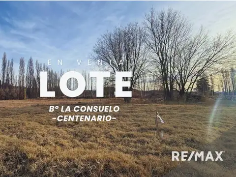 VENTA LOTE EN B° LA CONSUELO CENTENARIO