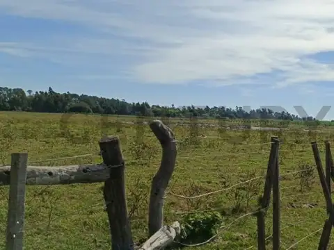 Campo en Venta de 12  ha