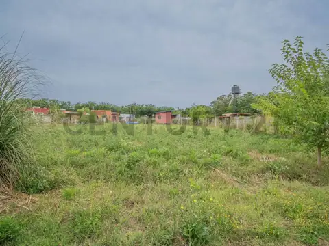 Islandia 2100, Piso 0