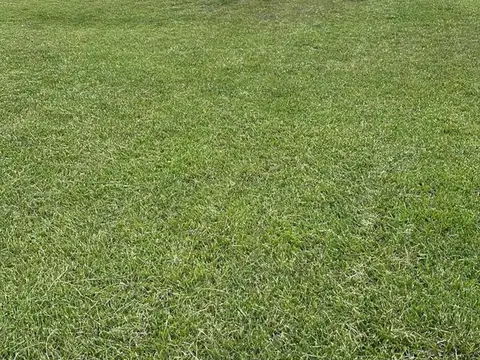 Terreno en venta - 45.851Mts2 - Villa Gesell