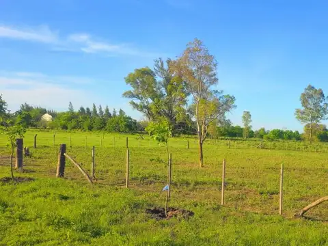 Terreno en Venta en Exaltacion De La Cruz, USD 39.500