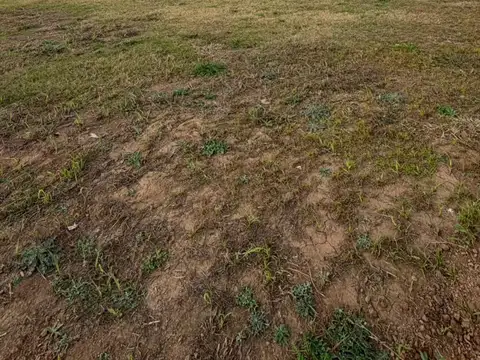 Terreno en Venta de 360,0 m2