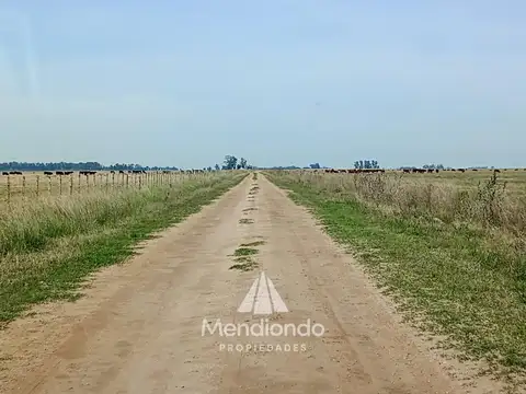 Campo - 750 hectáreas, Dolores, Pcia. de Buenos Aires