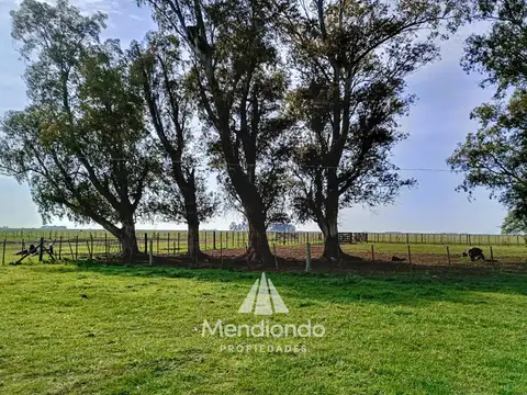Campo - 750 hectáreas, Dolores, Pcia. de Buenos Aires