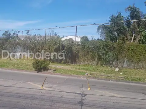 Doctor Ricardo Balbín 100