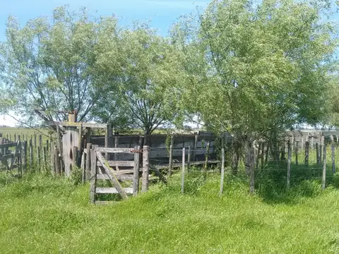 CAMPO DE 150 HA GANADERO MUY BUENA UBICACIÓN