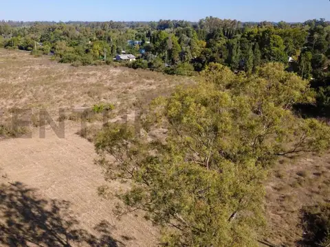 LOTE EN EXCELENTE UBICACION ARTURO SEGUI | CALLE 137 E/ 419 Y 422