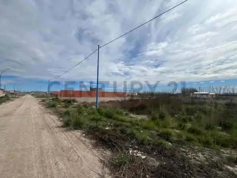 TERRENO EN EL LOTEO LA MARTINA II