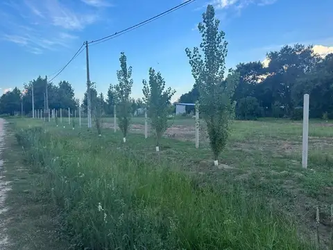 Ruta 1 km 10 Pueblos Originarios y callejon Montenegro 100