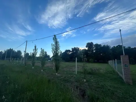 Terreno en Venta de 1004,0 m2