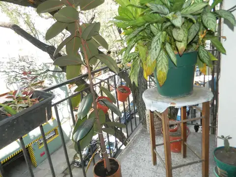 venta departamento 3 ambientes Belgrano
