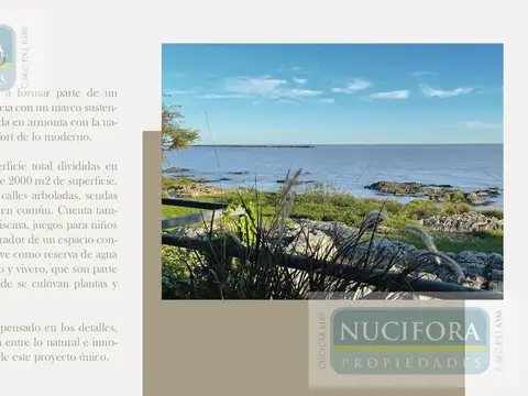 Terreno en Venta en Carmelo, USD 51.019