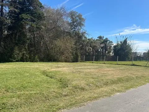 magallanes 1600