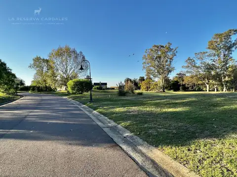 Terreno en Venta de 1000,0 m2