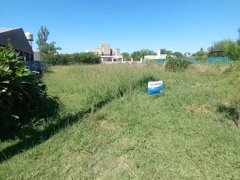 El Fogon al 2000