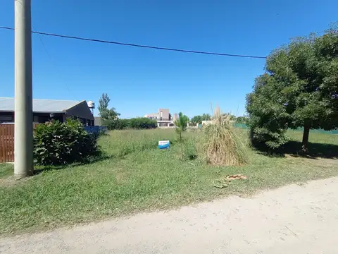 El Fogon al 2000