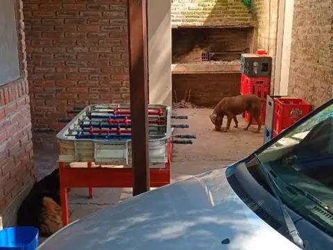 Playa De La Paloma 900