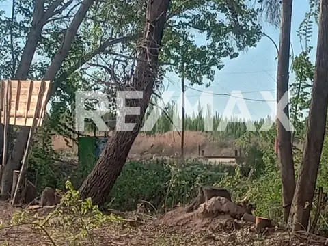VENTA DE CHACRA EN CIPOLLETI SOBRE RUTA 151