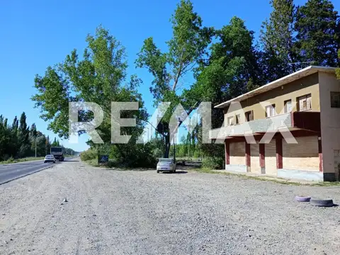 RUTA 151 Y LAS MARGARITAS