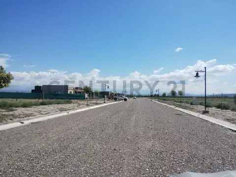 Century 21 Baigorria ofrece a la venta terreno en el Barrio Privado Tupungato Valley-Mendoza.
