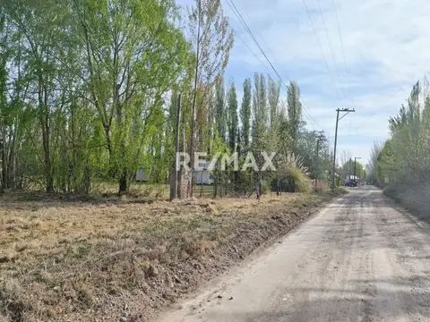 Terreno en Venta en Cipolletti, USD 130.000