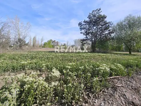 Calle rural A1-1 y calle rural A6