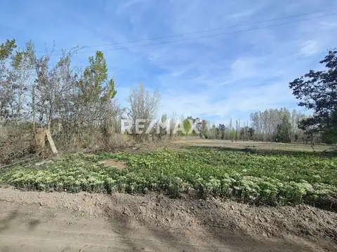 Terreno en Venta en Cipolletti, USD 130.000