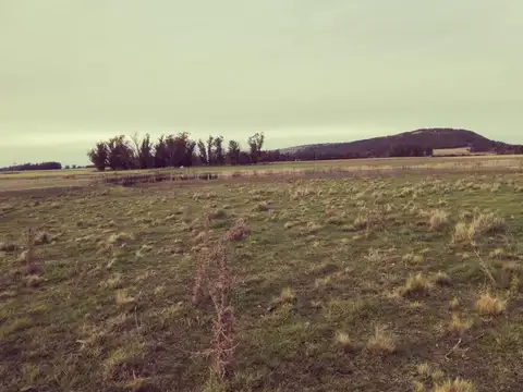 Campo de 109 ha con laguna natural