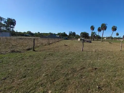 Terreno en venta de 1.000 m² – ayres de colonia