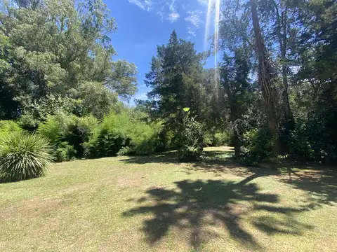 Terreno en Venta 74  mts Fondo