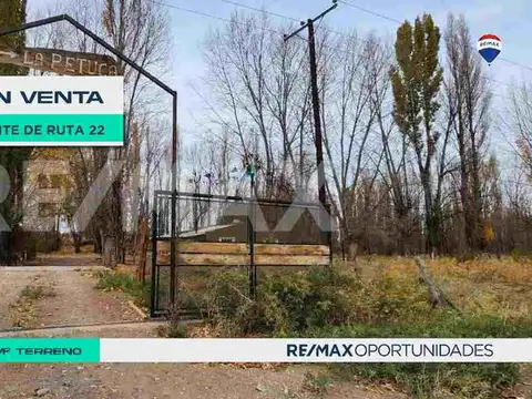 CHACRA EN SENILLOSA CON FRENTE DE RUTA 22