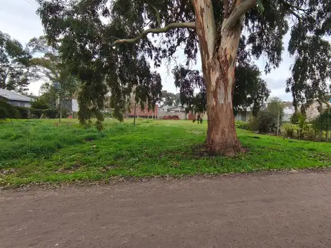 Terreno en Venta de 420,0 m2