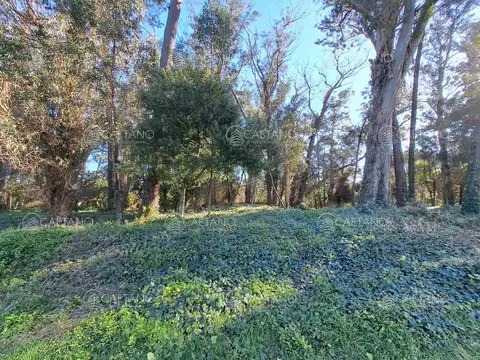 Venta de lote 844 M2 Rincón del Indio 