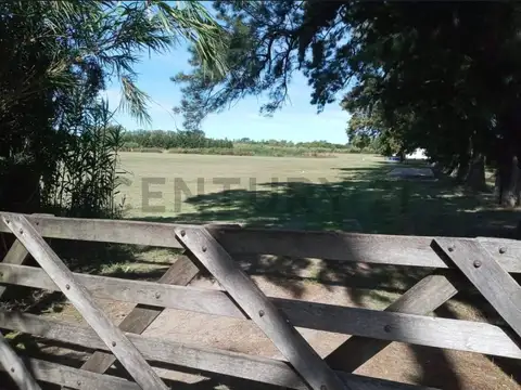 Campo en venta