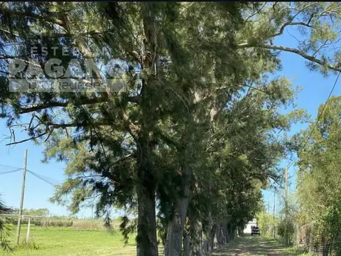 Campo en venta