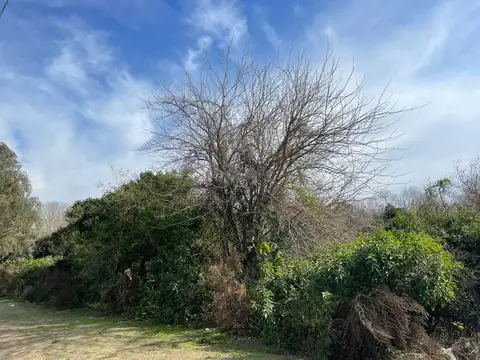 Juan B. Justo casi esq. El Ceibal