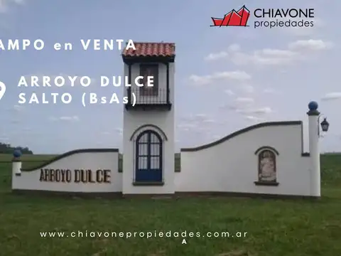 VENTA DE CAMPO – ZONA ARROYO DULCE / PERGAMINO