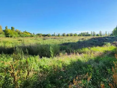 Terreno en Venta de 40526,0 m2