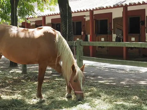 Casa en Venta 25 años