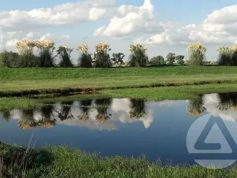 Terreno en Venta de 280000,0 m2