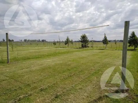 Terreno en Venta en Cordoba, USD 1.150.000