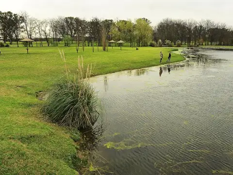 Terreno en Venta 40  mts Frente