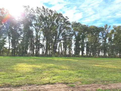 Lote en venta en Comarcas de Luján