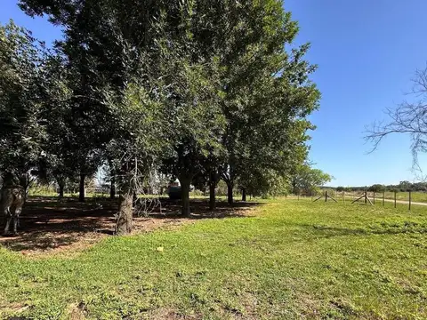 Terreno en Venta en Diego Gaynor, USD 2.400