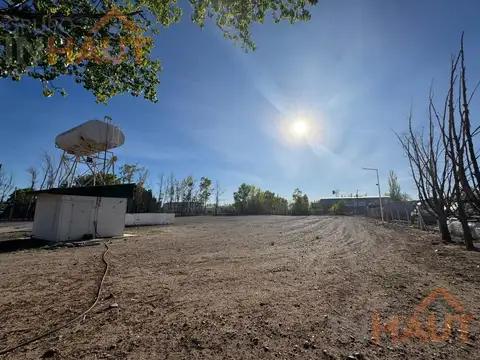 Nave Industrial en PIN Neuquén